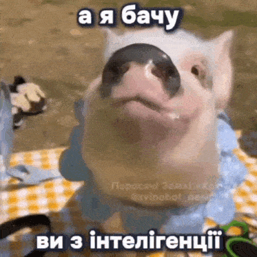 a pig is sitting on a checkered tablecloth with a caption in a foreign language .