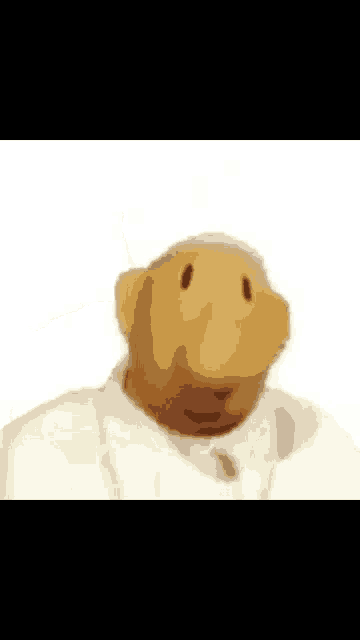 a close up of a teddy bear wearing a white shirt and tie