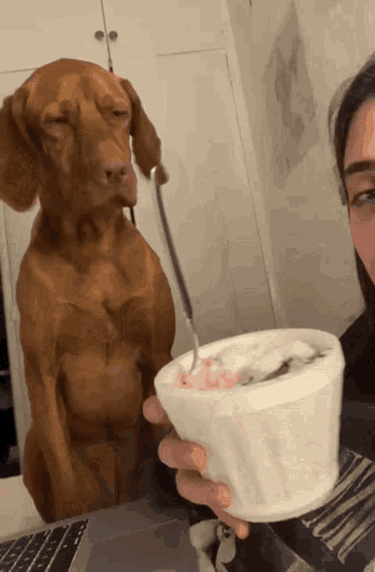 a woman is holding a bowl of ice cream while a dog stands behind her