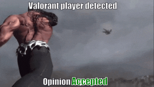 a video game character with the words " valorant player detected opinion accepted " at the bottom