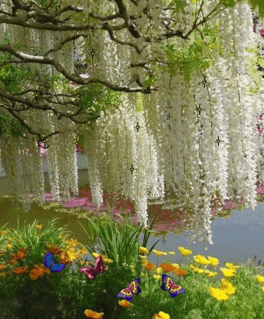 butterflies are flying in a garden with white flowers and a pond