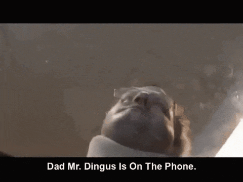 a man wearing glasses and a neck brace says dad mr. dingus is on the phone .