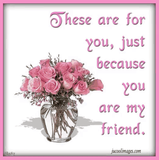 a bouquet of pink roses in a vase with the words " these are for you just because you are my friend " on the bottom