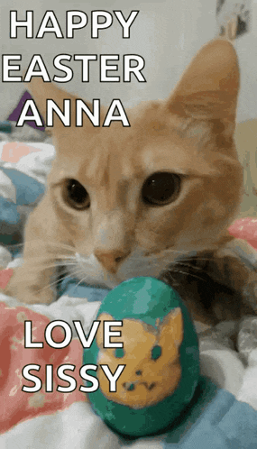 a cat laying on a bed next to an easter egg with the words happy easter anna love sissy