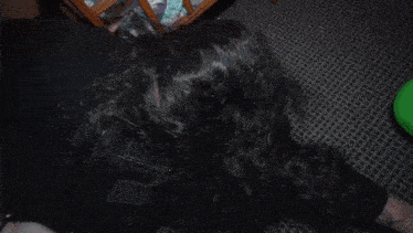 a man with a beard is laying on the floor
