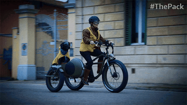 a person riding a bike with a sidecar attached to it and the hashtag #thepack on the bottom