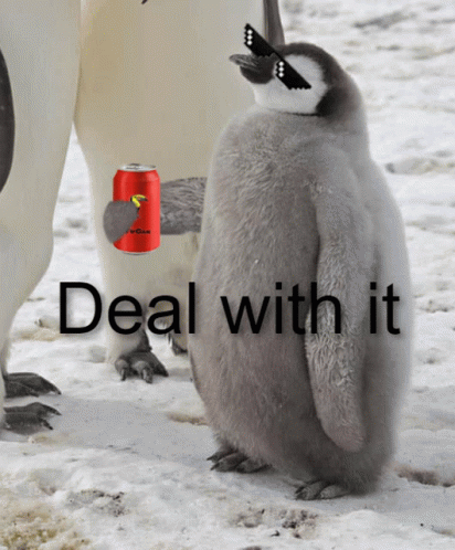 Penguin Deal With It GIF - Penguin Deal With It Cool GIFs