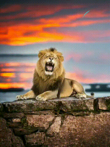 a lion laying on a rock with its mouth wide open