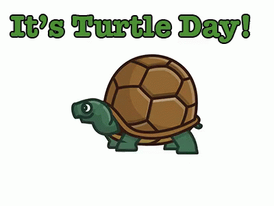 Its Turtle Day GIF - Turtle Day Nope Hide GIFs