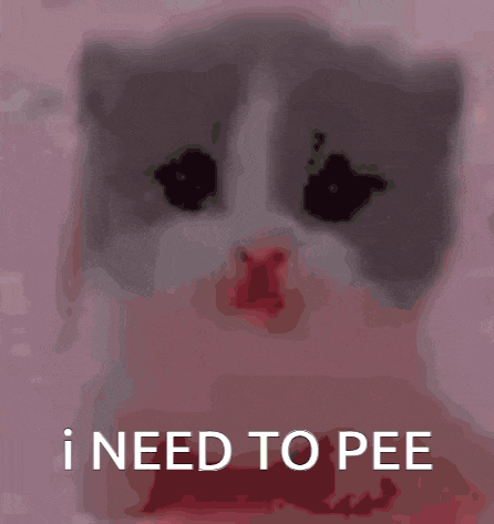 a gray and white kitten is sitting on a pink surface with the words `` i need to pee '' written on it .