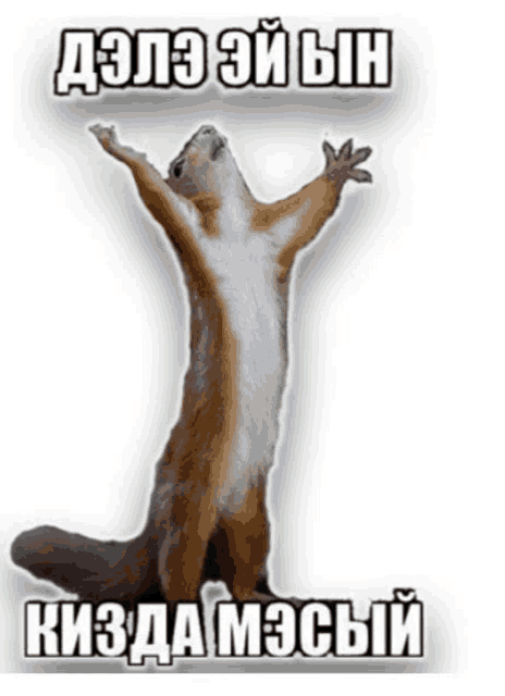 a picture of a squirrel with its arms in the air and a caption in russian