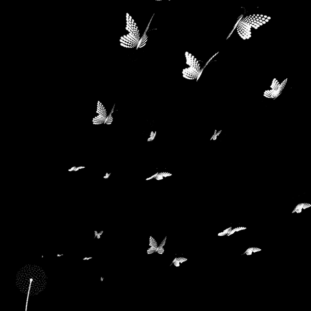 a flock of white butterflies flying in the dark on a black background