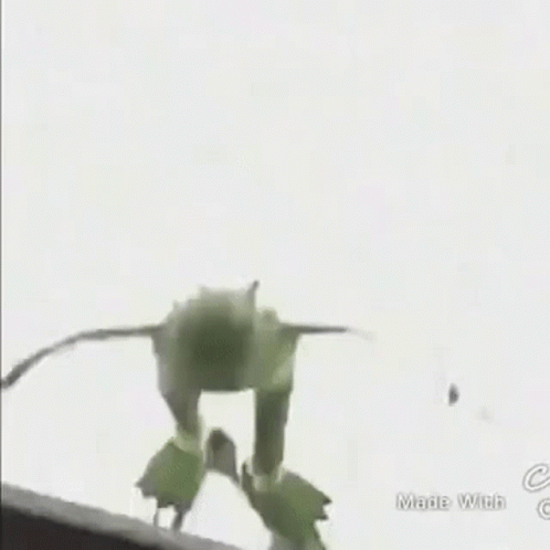 Puppet Kermit GIF - Puppet Kermit Jump GIFs