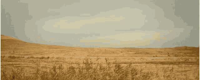 a woman in a white tank top is standing in front of a desert landscape with her hair blowing in the wind .
