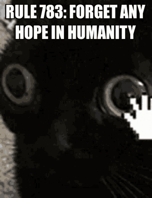 Cat Gato GIF - Cat Gato Humanity GIFs