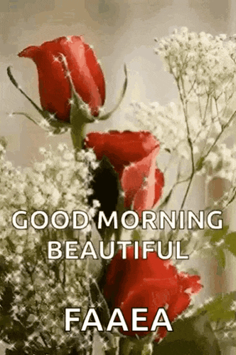 a bouquet of red roses with baby 's breath and the words `` good morning beautiful ''
