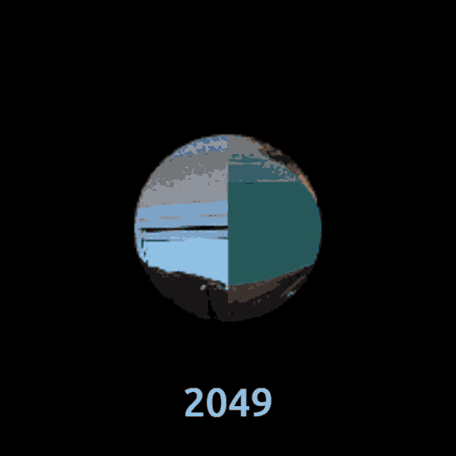 a picture of a man 's face with the year 2049 on the bottom