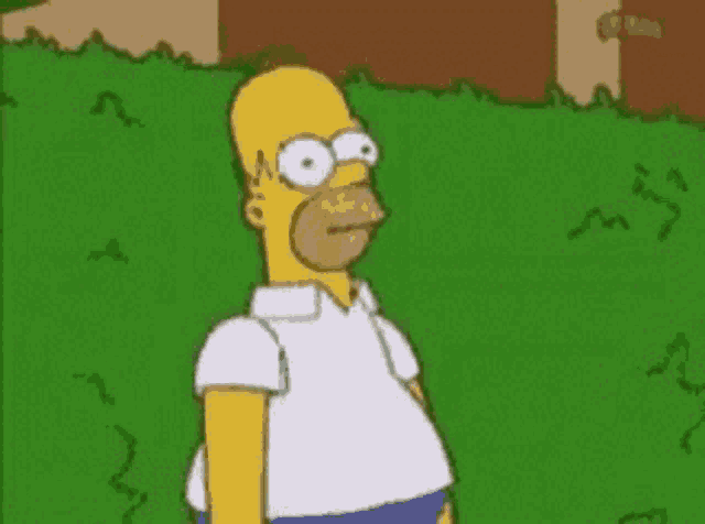 homer simpson from the simpsons is standing in the grass looking at something .