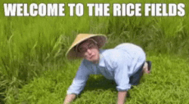 Welcome To The Rice Fields Japan GIF - Welcome To The Rice Fields Japan GIFs
