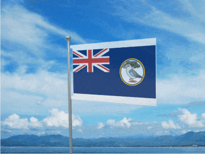 a flag with a bird on it is flying in front of a body of water