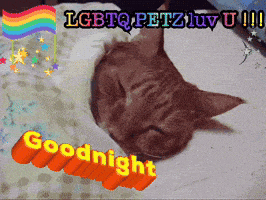 a cat laying on a bed with the words goodnight written on the bottom