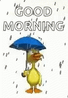 Im Awake Morning GIF - Im Awake Morning Raining GIFs