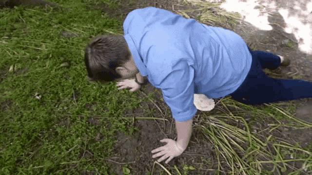 a man in a blue shirt is crawling in the grass