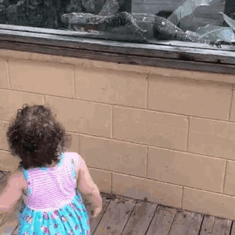 a little girl is looking out a window at a crocodile .