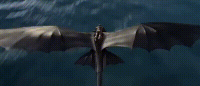 a dragon is flying through the air at night .