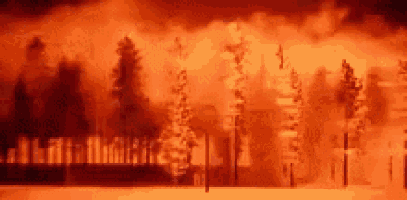 a fire is burning through a forest with trees in the foreground and a building in the background .