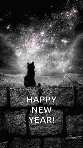 a black and white photo of a cat sitting on a rock with the words happy new year on the bottom