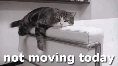 Not Moving Today Couch Potato GIF - Not Moving Today Couch Potato Cat GIFs