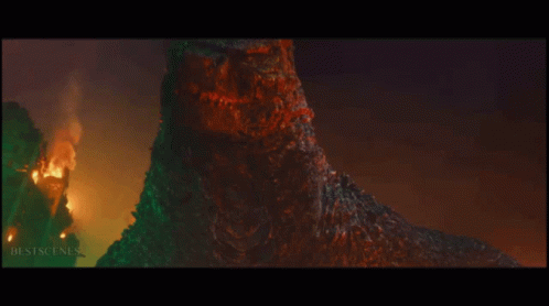 Godzilla Vs GIF - Godzilla Vs Kong GIFs