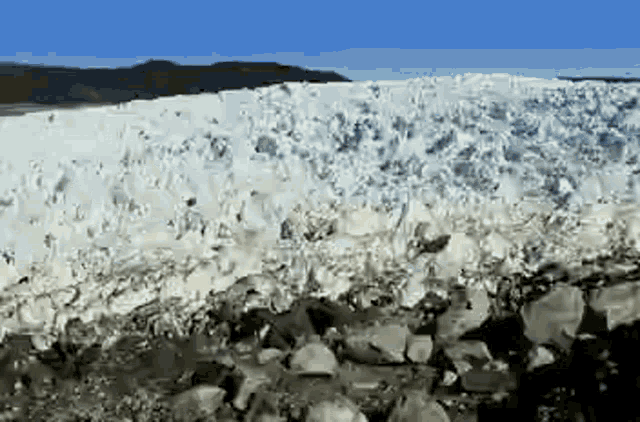 Snow Tundra GIF - Snow Tundra Antarctic GIFs