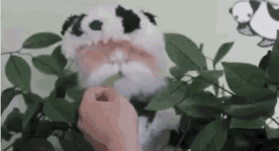a person is holding a stuffed animal in their hand .