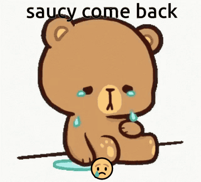 a brown teddy bear with a sad face and the words saucy come back behind it