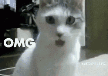 a white cat with a surprised look on its face is sitting on a table with the word omg behind it .