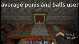 a screenshot of a video game with the words " average penis and balls user " at the top