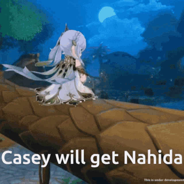 casey will get nahida is written on a cartoon character