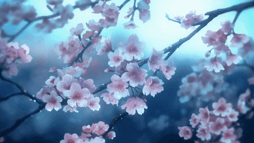 a tree branch with pink flowers on a blue background