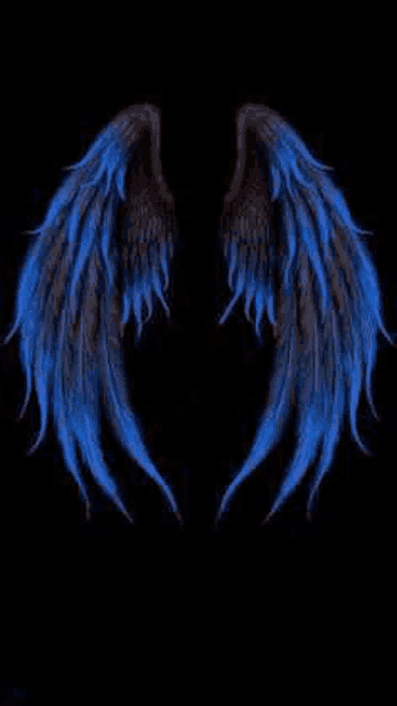 a pair of blue wings on a black background .