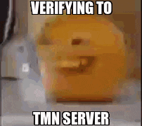 a blurred image of an orange with the words verifying to tmn server on it .