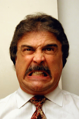 The Many Faces Of Lou Anger Disgust GIF - The Many Faces Of Lou Anger Disgust GIFs