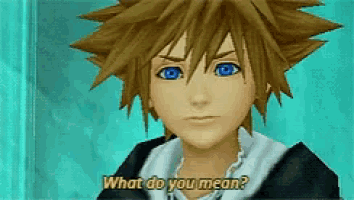 sora from the video game kingdom hearts is asking what do you mean .