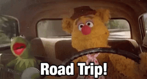 hermit-the-frog-road-trip.gif