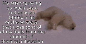 a polar bear is laying in the snow with a caption that says me after spraying so much lysol