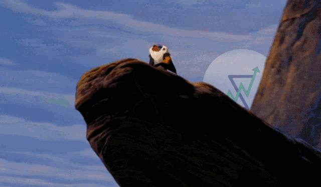 a bird sitting on top of a large rock