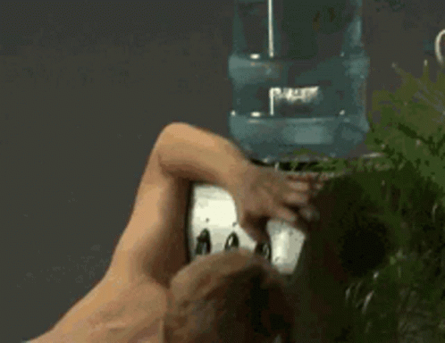 Thirsty Funny GIF - Thirsty Funny Drinking GIFs