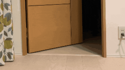 a wooden door is open in a room with a leafy curtain behind it
