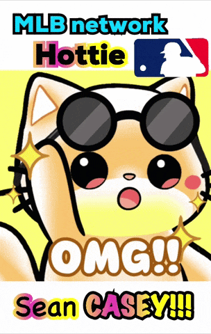a poster for mlb network hottie shows a cat with sunglasses on